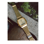 Casio Vintage Unisex AQ-240EG-9A