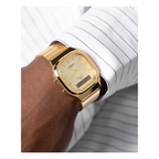 Casio Vintage Unisex AQ-240EG-9A