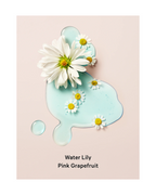 Crema Aqua Kiss Shimmer 250ml By Victoria’s Secret