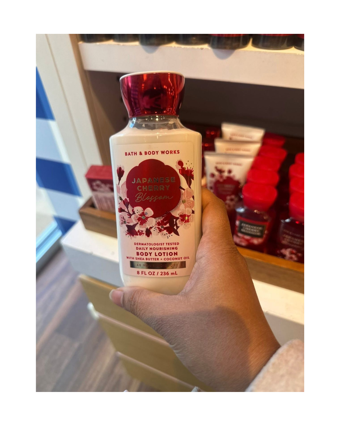 Crema Japanese Cherry Blosoom 236ml By Bath & Body Works