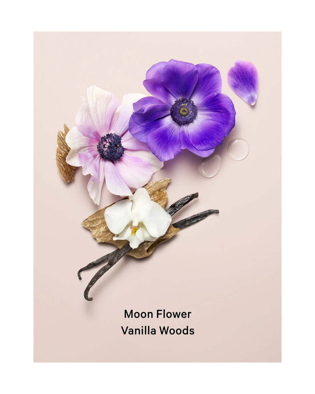Crema Midnight Bloom Shimmer 250ml by Victoria Secret