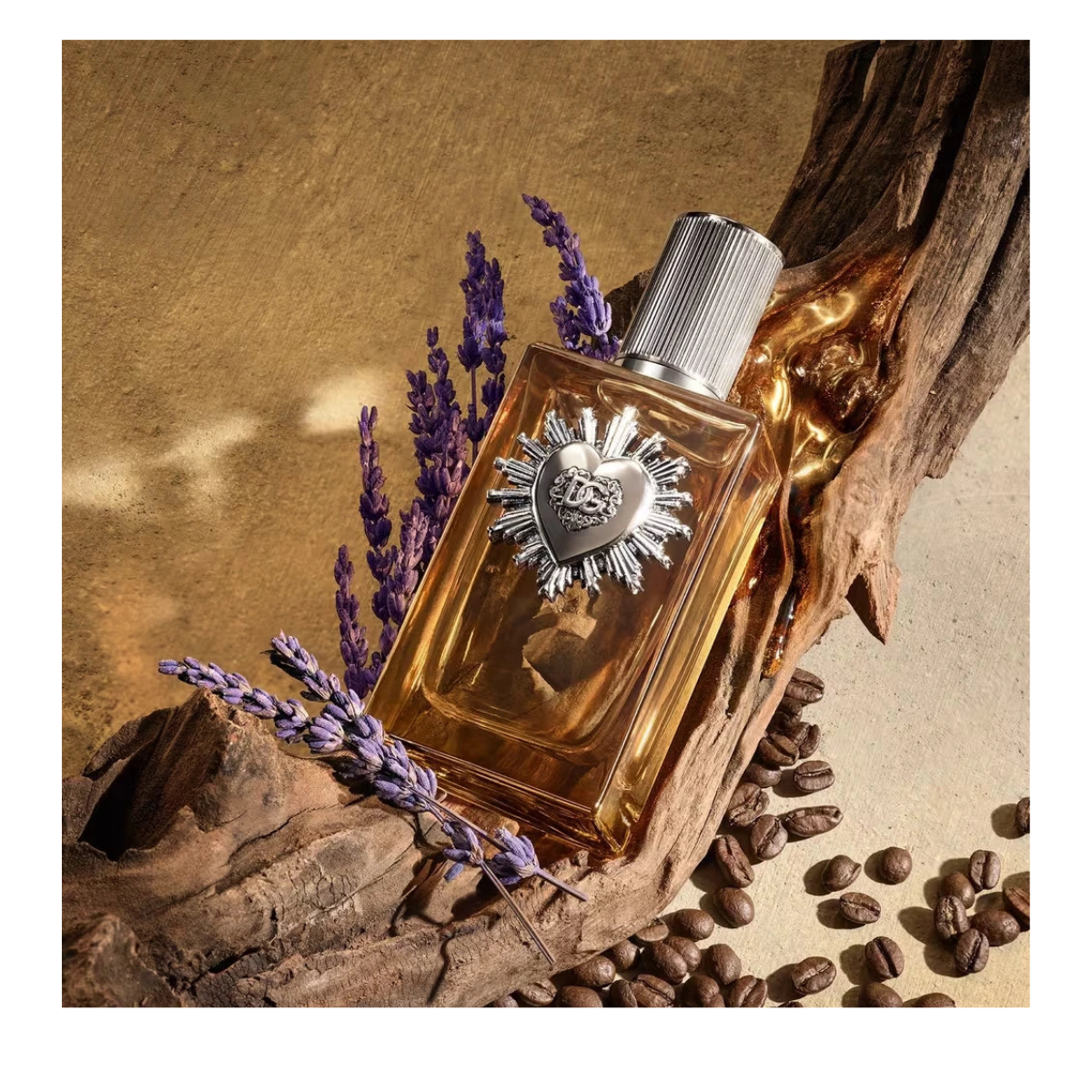 Devotion 100ml EDP Hombre By Dolce & Gabbana