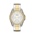 Fossil Riley ES3204