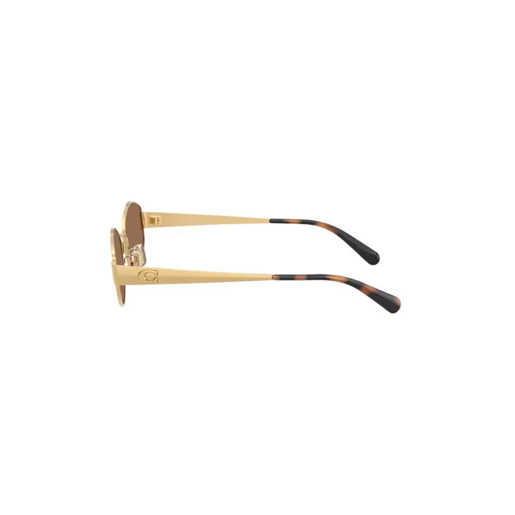 Gafas Coach CDP44 HC7192D 94411357