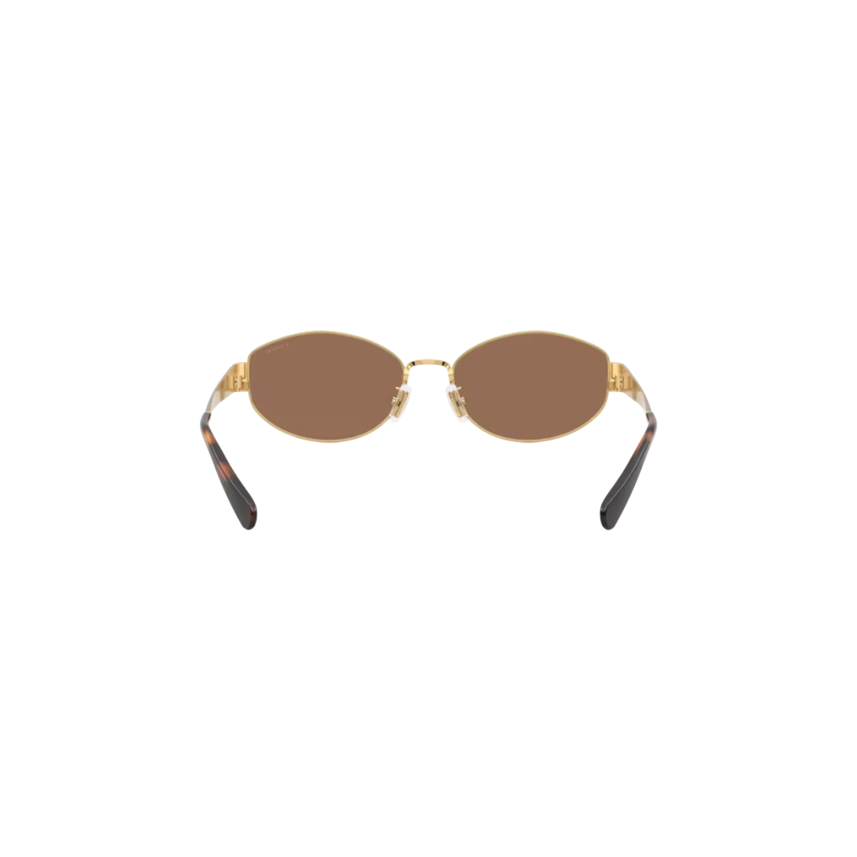 Gafas Coach CDP44 HC7192D 94411357