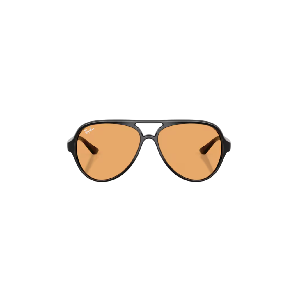 Gafas RayBan Cats RB4125 601/3359