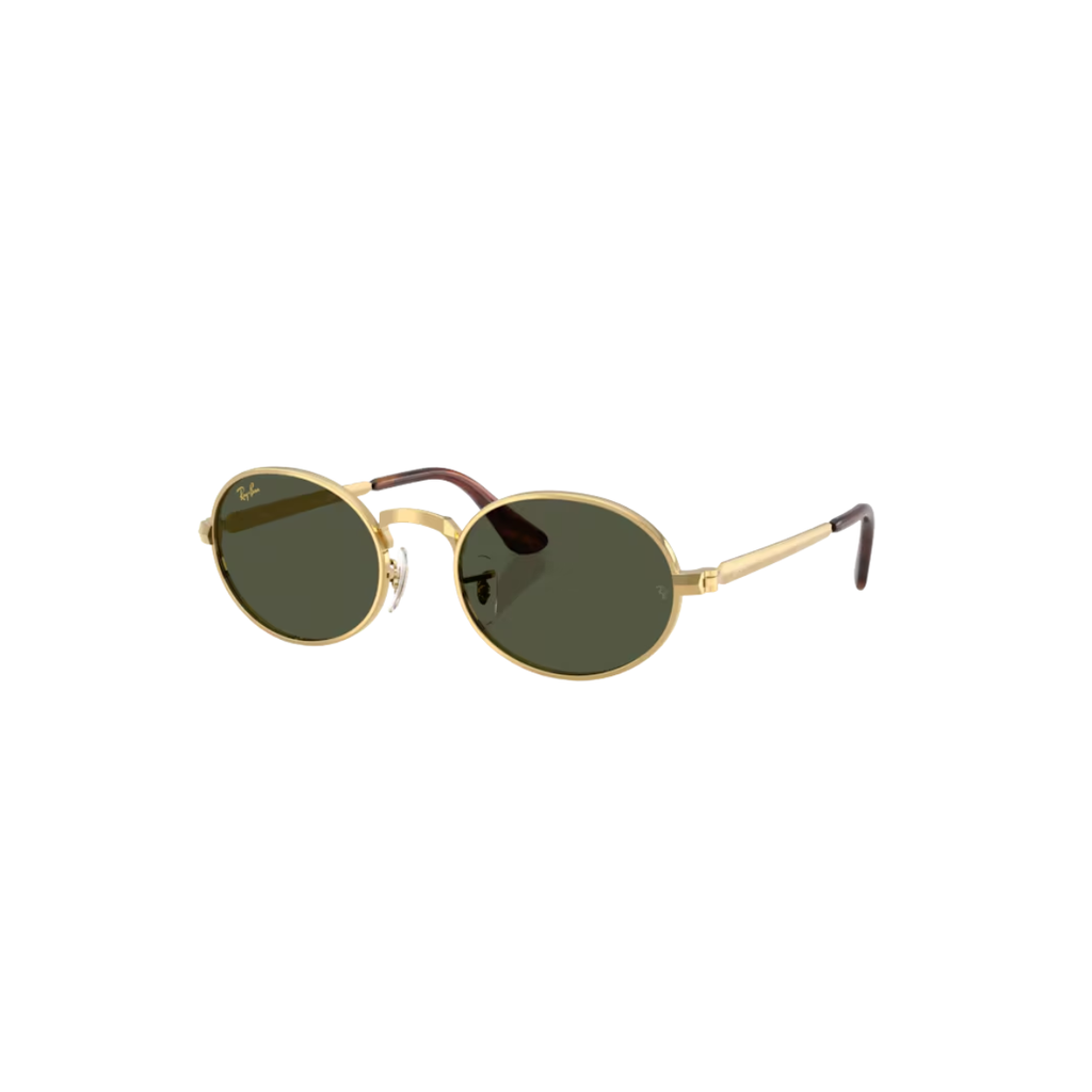 Gafas RayBan RB3931 001/3154