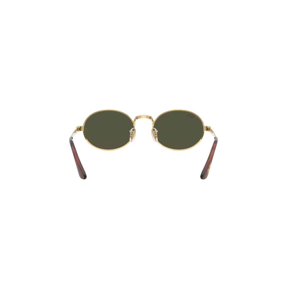 Gafas RayBan RB3931 001/3154
