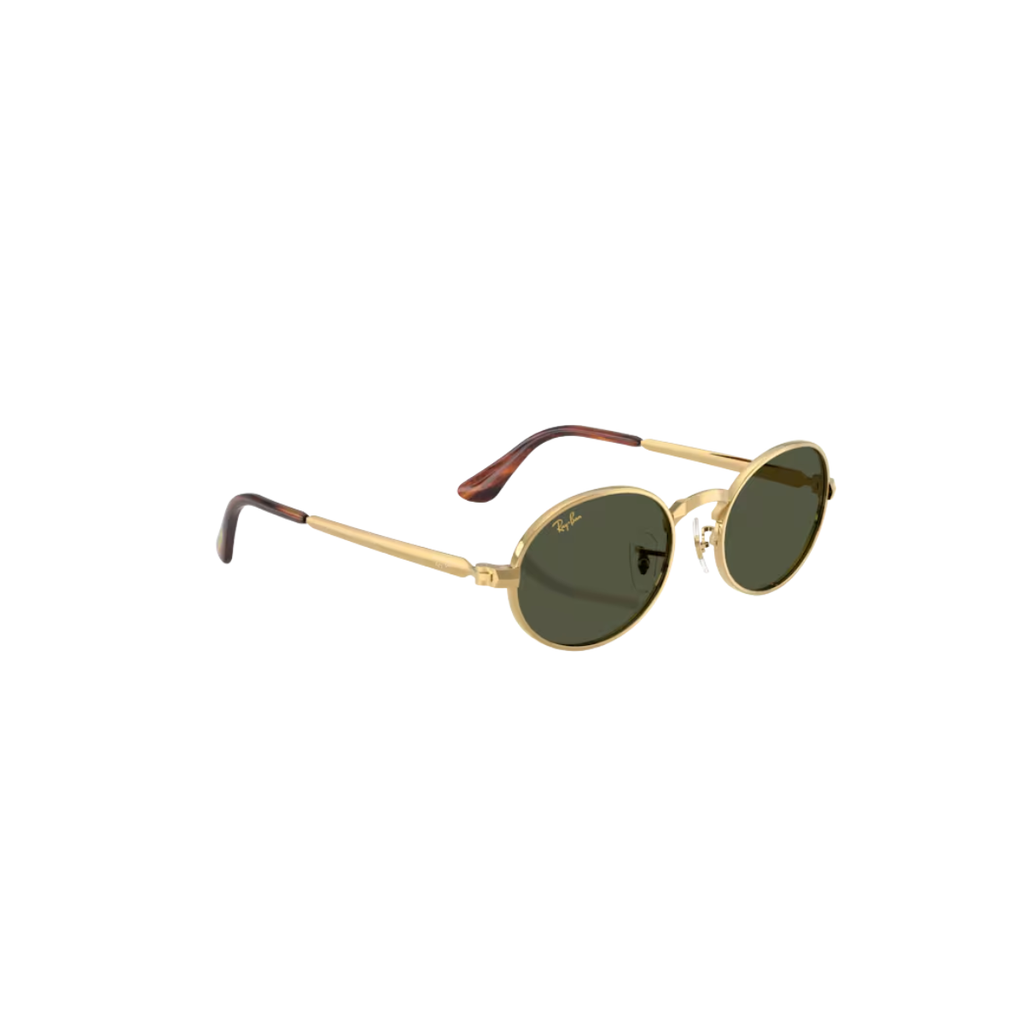 Gafas RayBan RB3931 001/3154