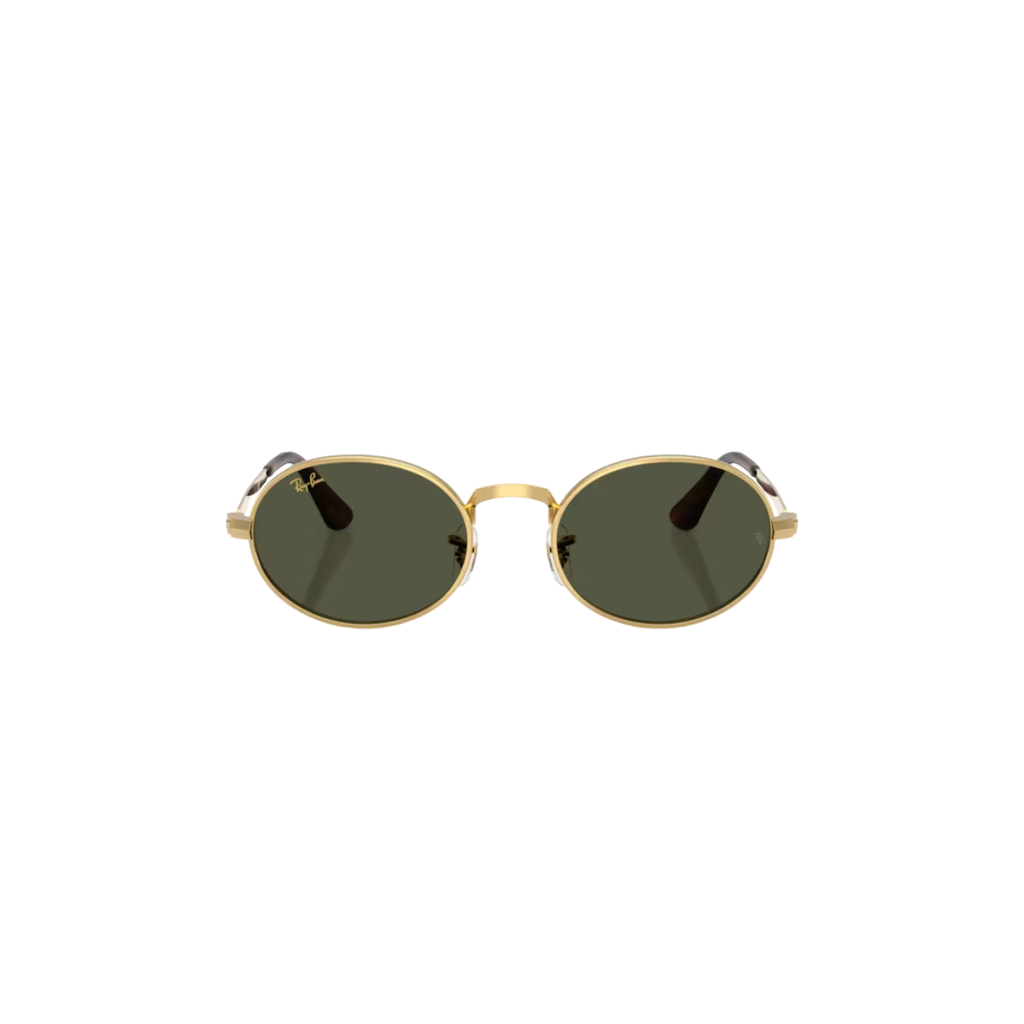 Gafas RayBan RB3931 001/3154