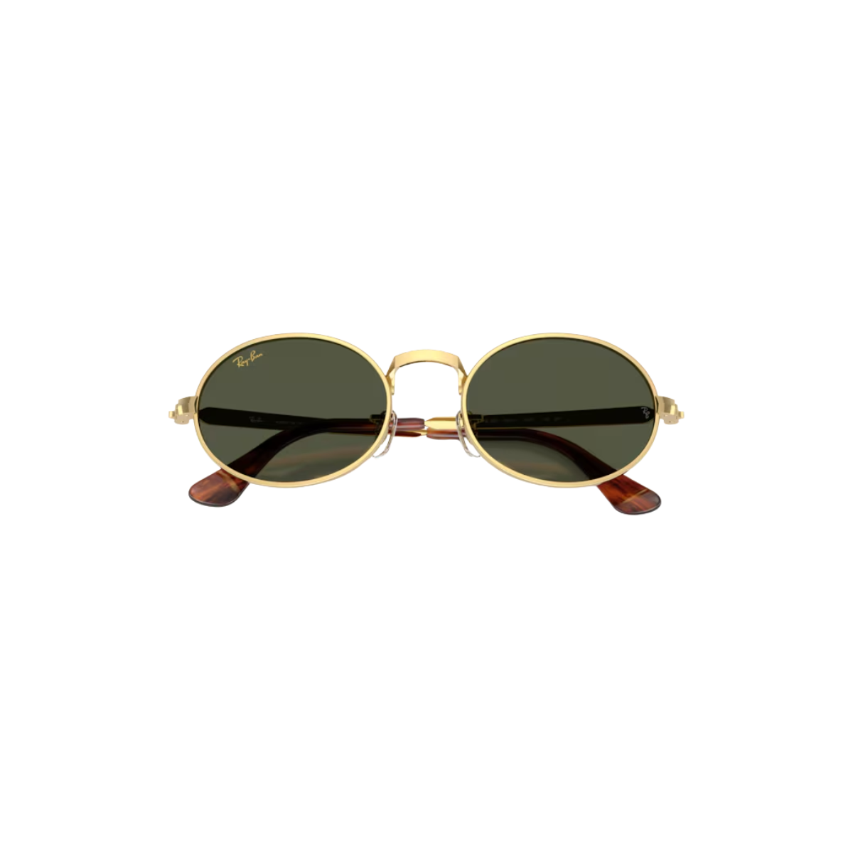 Gafas RayBan RB3931 001/3154