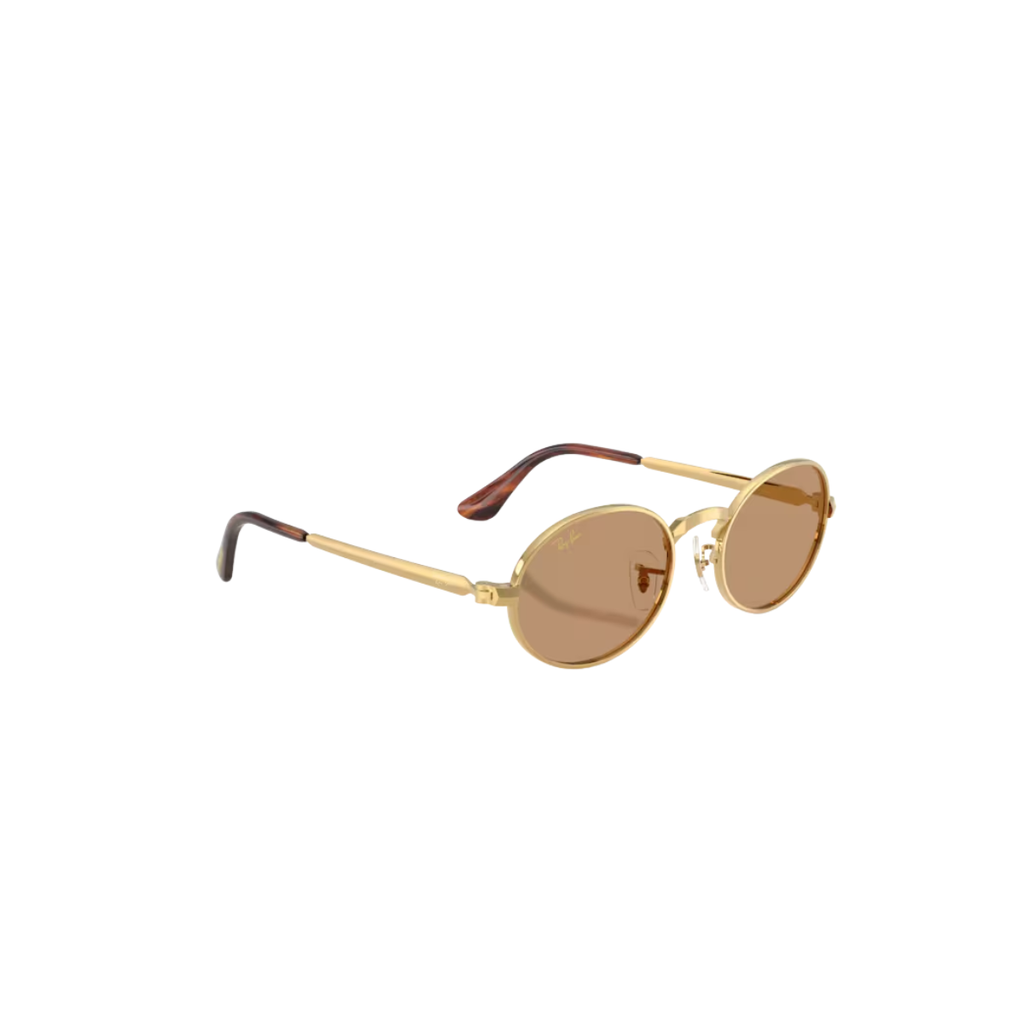 Gafas RayBan RB3931 001/5354