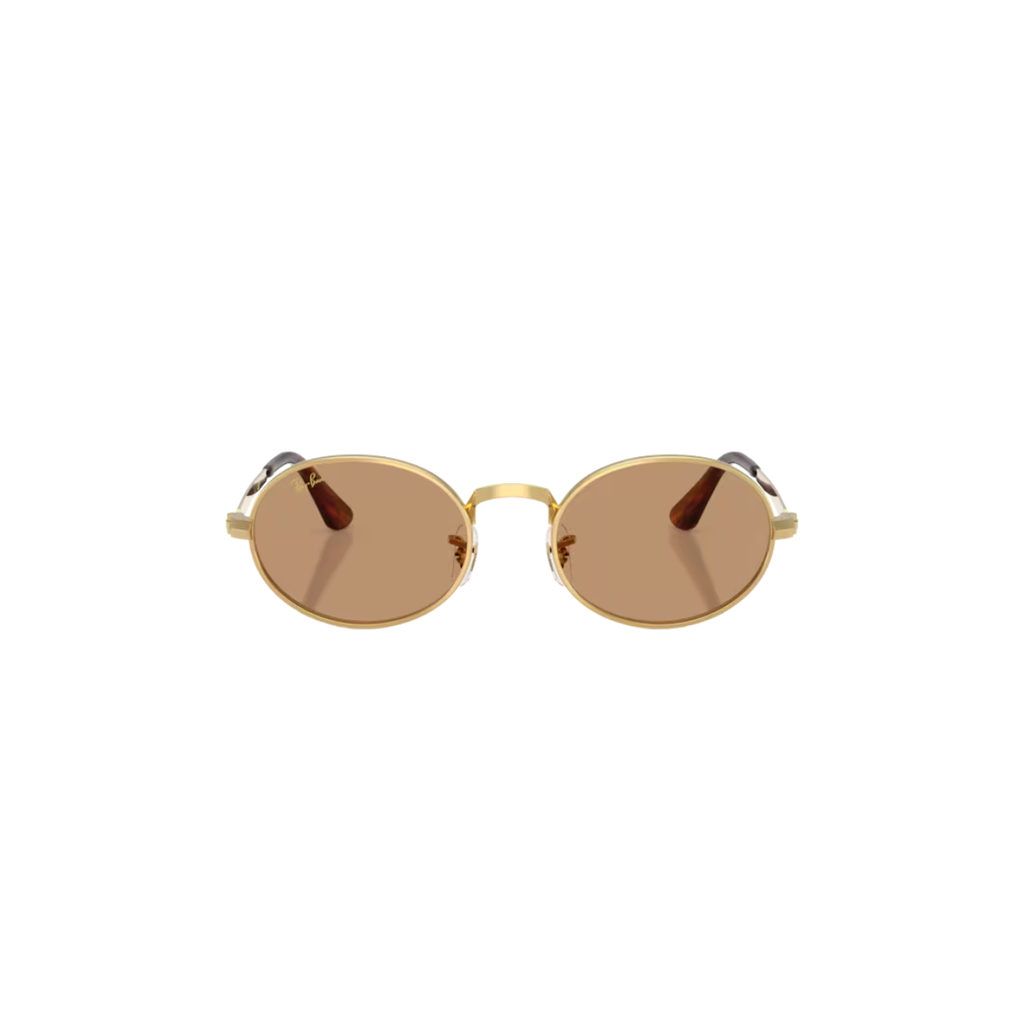 Gafas RayBan RB3931 001/5354