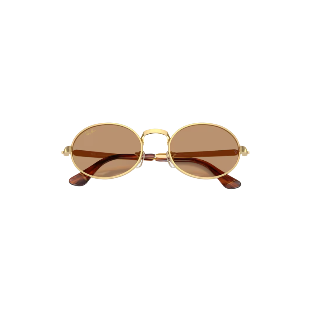 Gafas RayBan RB3931 001/5354