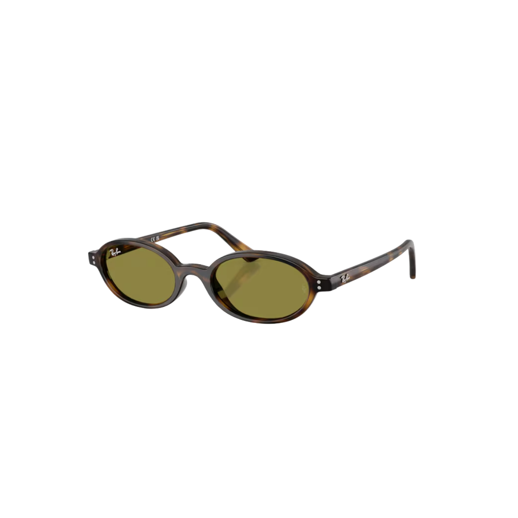 Gafas RayBan RB4472 1359/251