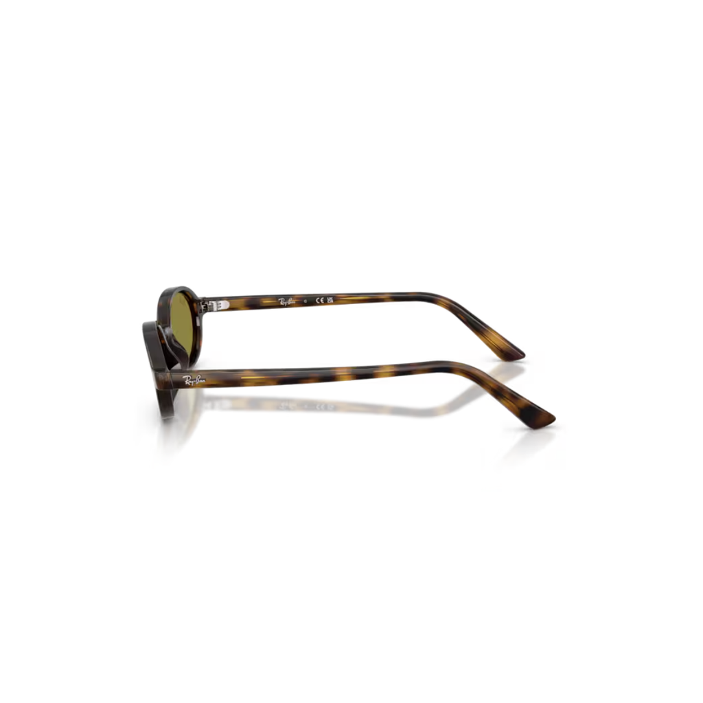 Gafas RayBan RB4472 1359/251