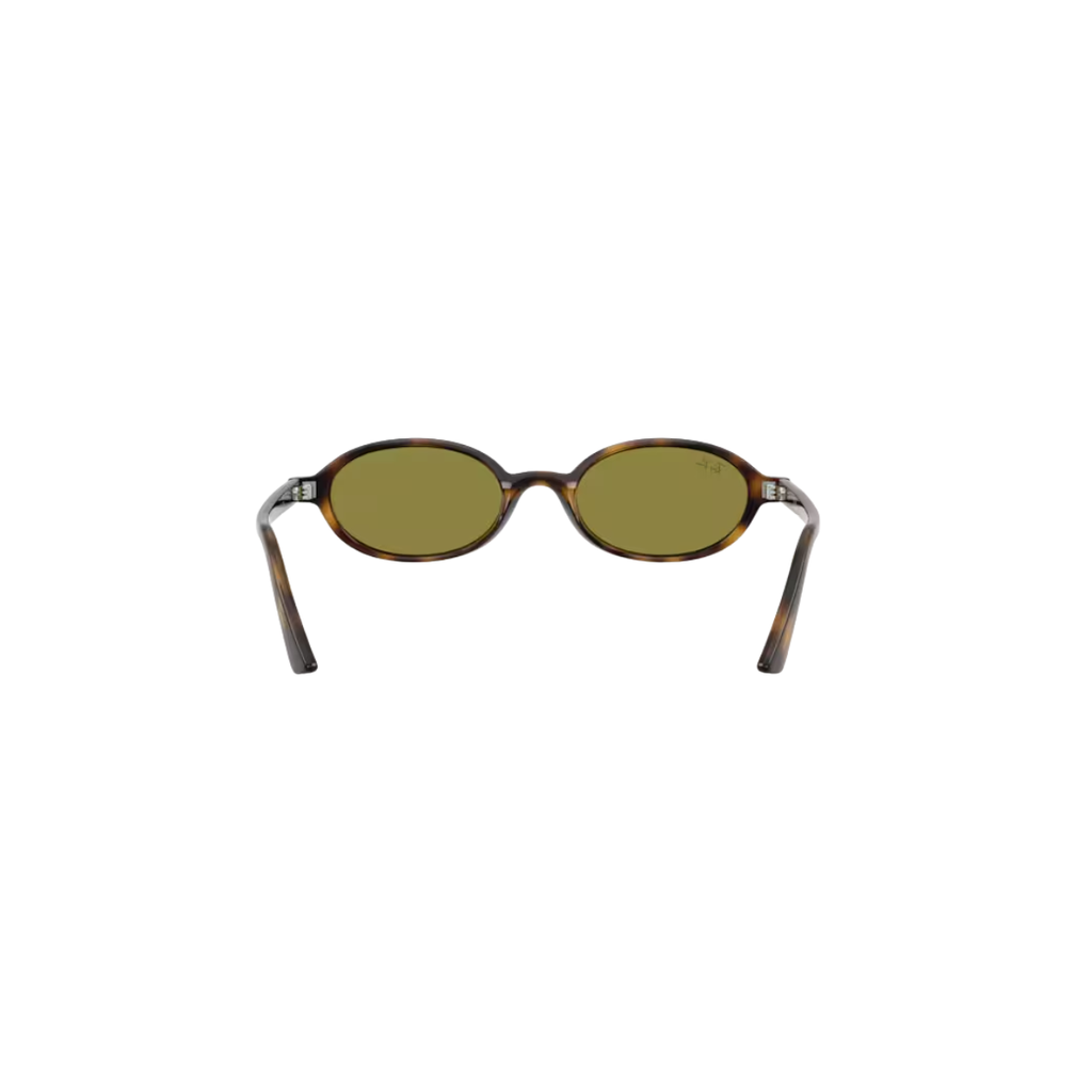 Gafas RayBan RB4472 1359/251