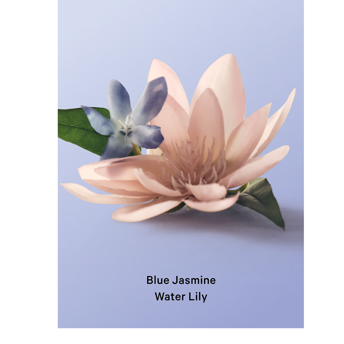 Hair And Body Mist Wild Blue Jasmine Water Lily 236ml By Victoria’s Secret