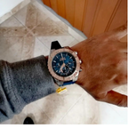Invicta Aviator 22523