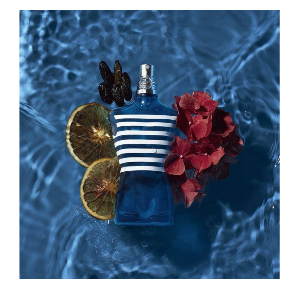 Le Male EDT By Jean Paul Gaultier