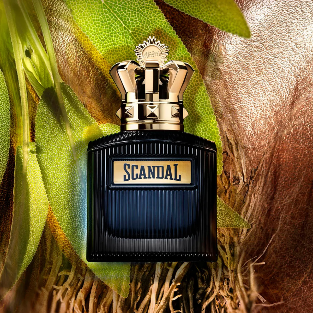 Scandal Intense EDP 100ml By Jean Paul Gaultier Hombre